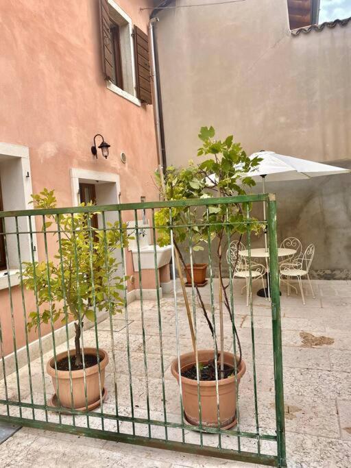 Willa Casa Ca Orsa Cavaion Veronese Zewnętrze zdjęcie