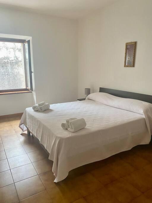 Willa Casa Ca Orsa Cavaion Veronese Zewnętrze zdjęcie